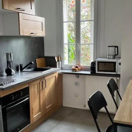 Le Vaillant Appartement Cosy Dijon Exterior photo